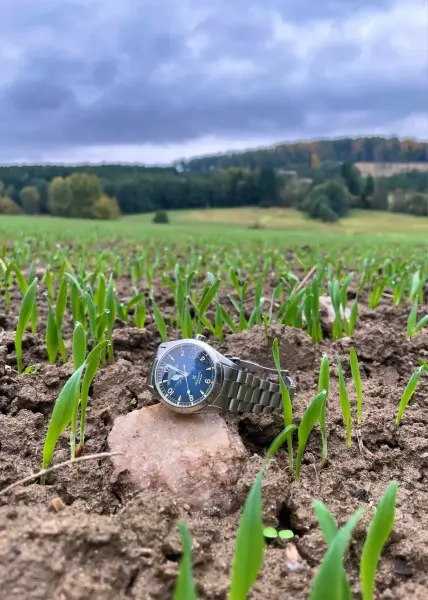 Seiko Prospex Alpinist by Daniel C.