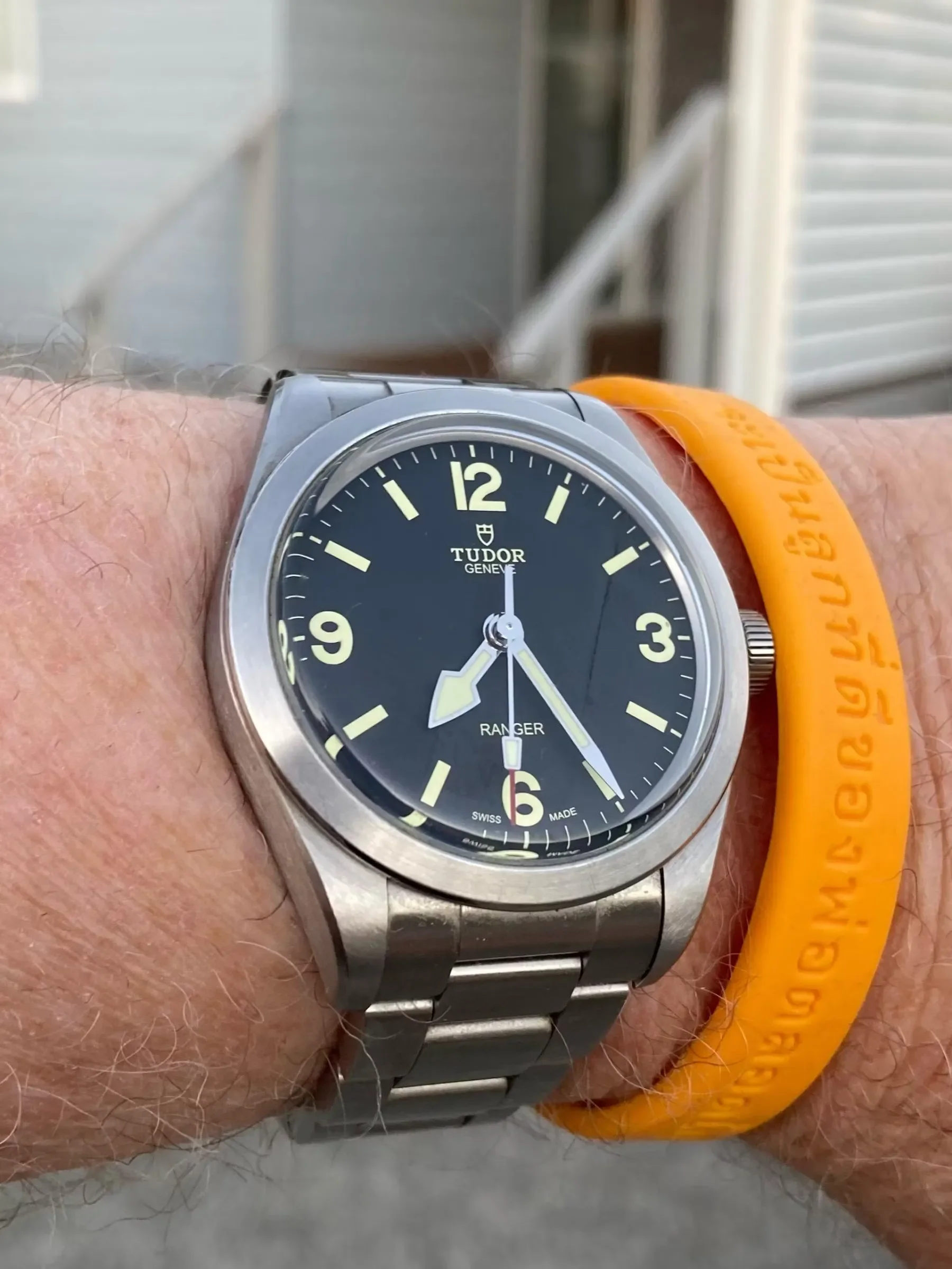 Tudor Ranger by Daniel C.